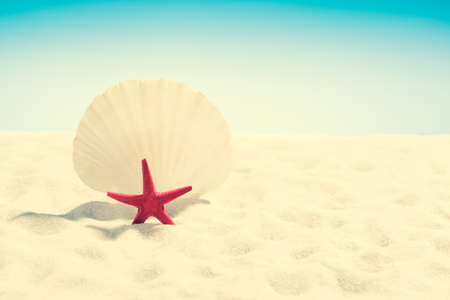 Red starfish on the beach on background of blue skyの写真素材