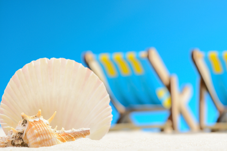 Seashell and two sunbeds at the beach on background of blue skyの写真素材
