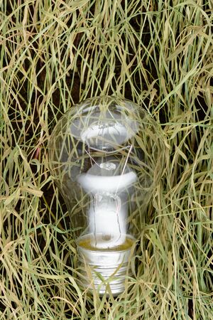 Environmentally unfriendly incandescent bulb on the dry grassの写真素材