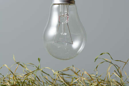 Environmentally unfriendly incandescent bulb over the dried grassの写真素材