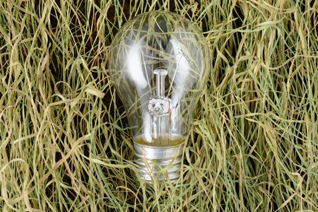 Environmentally unfriendly incandescent bulb on the dry grassの写真素材