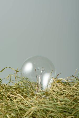 Environmentally unfriendly incandescent bulb on the dry grassの写真素材