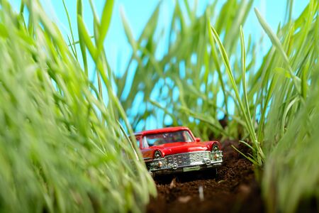 Red vintage car model among green grassの写真素材