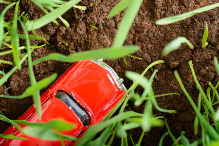 Red vintage car model among green grassの写真素材