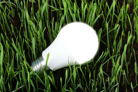 Led light bulb on green grass