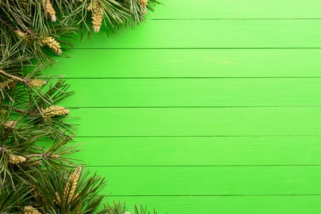 Pine branches in the form of a frame on a green wooden backgroundの写真素材