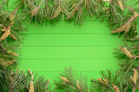 Pine branches in the form of a frame on a green wooden backgroundの写真素材