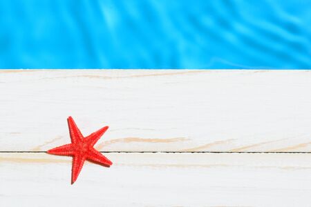 From above shot of sea star lying on wooden plank above water of pool