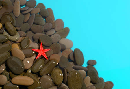 Background of wet sea pebbles with small red sea star.の写真素材