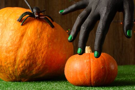 Female hand with toy spider against Halloween pumpkinsの写真素材