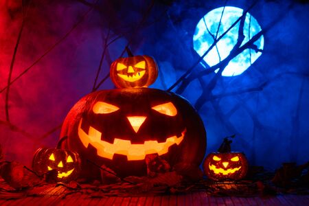 Scary Halloween pumpkins on the background branches and the full moon in the fogの写真素材