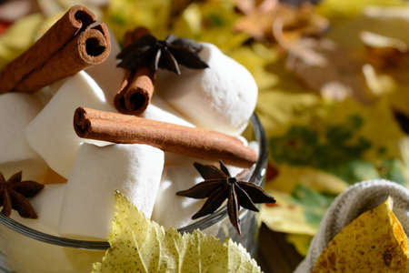 Transparent Cup filled with marshmallow, star anise and cinnamon among the yellow leaves lit by sunlight from the windowの写真素材
