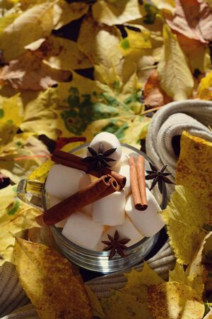 Transparent Cup filled with marshmallow, star anise and cinnamon among the yellow leaves lit by sunlight from the window. Tonedの写真素材