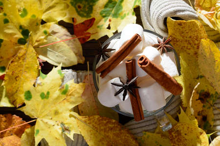 Transparent Cup filled with marshmallow, star anise and cinnamon among the yellow leaves lit by...