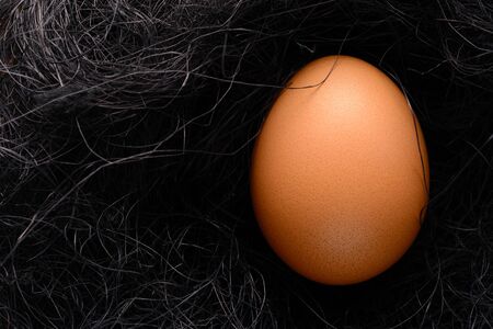 Easter background. Brown chicken egg in the nest of sisalの写真素材