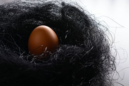 Easter background. Brown chicken egg in the nest of sisalの写真素材