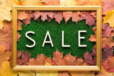 From above of arranged fall foliage on green grass with word Sale in wooden frame
