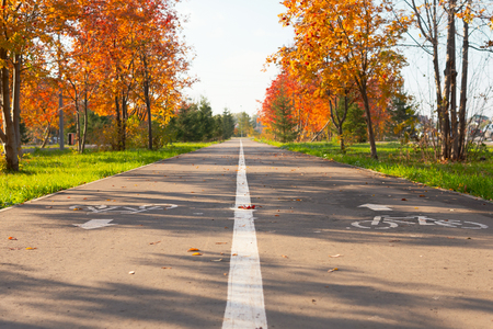 Perspective view to bicycle way in autumn park with orange treesの写真素材