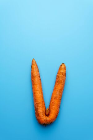 Top view at ugly carrot on a blue background. Image contains copy space, vertical orienation.の写真素材