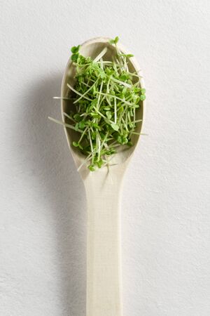 Fresh micro greens arugula sprouts in a wooden spoon on a light gray concrete background. Top view, copy space. The concept of organic food and proper nutrition.の写真素材