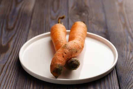 Fresh ugly carrots on a white flat plate on a dark wooden background.