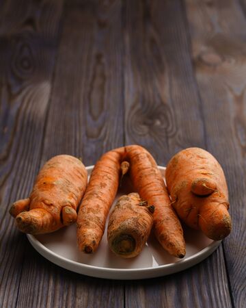 Fresh ugly carrots on a white flat plate on a dark wooden background. Vertical orientation with copy space.の写真素材
