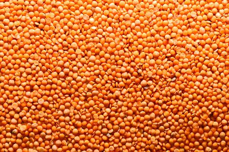 Source of vegetable protein. Lentil texture. Balanced healthy diet of vegans and vegans.の写真素材