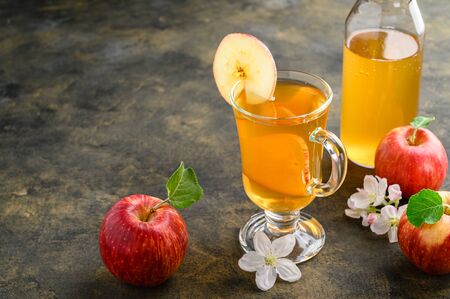 Homemade fermented kombucha or cider in a tall glass with a slice of fresh apple on a dark rustic background. A healthy probiotic kombucha refreshing drink. Copy space.の写真素材