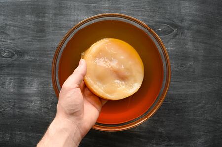 Kombucha SCOBY disk Symbiotic culture of bacteria and yeast in the hand of an unrecognizable man. Cooking healthy probiotic kombucha drink. Dark rustic wooden table. Top viewの写真素材