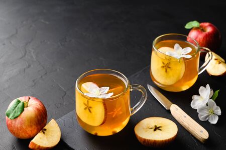 Homemade fermented kombucha or cider in glasses with a slice of apple on a dark stone table. A healthy probiotic kombucha refreshing drink. Copy space.の写真素材