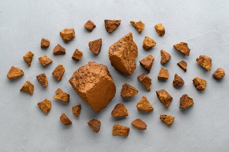 Chaga mushroom slicing on a light gray background. View from above.の写真素材