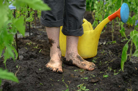 Watering the garden. Dirty male legs and watering can closeup. A man stands barefoot on a path in the garden.の写真素材