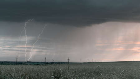 Lightning on a dark gray sky during a storm shower. Dramatic sunset sky.