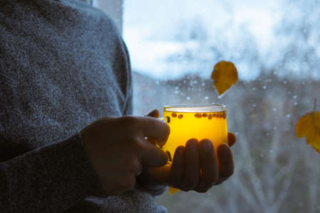 Close-up male hands holding a cup with sea buckthorn tea. The guy is sitting by the window, autumn cloudy day.の写真素材