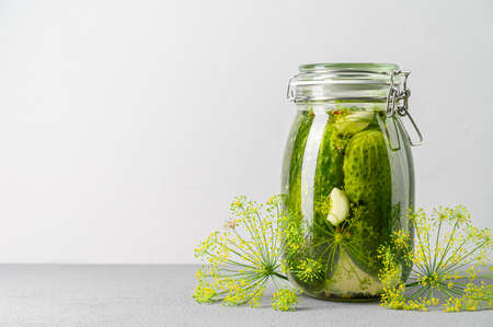 Healthy fermented food. Homemade fermented cucumbers with garlic, dill and pepper in a glass jar. Light gray background. Copy space.の写真素材