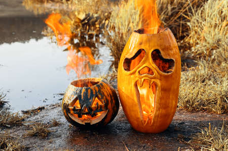 Halloween horror concept. Two Halloween pumpkins are burning on the shore of the pond, outdoors. Copy spaceの写真素材
