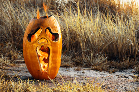 Halloween horror theme. Halloween pumpkin is burning on the ground, outdoors. Copy spaceの写真素材