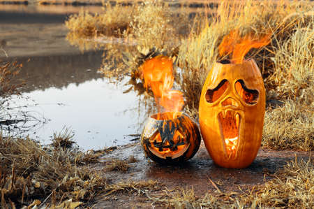 Halloween horror concept. Two Halloween pumpkins are burning on the shore of the pond, outdoors. Copy spaceの写真素材