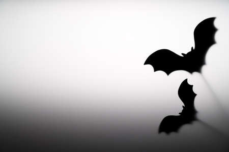 Halloween Decoration. Terrifying Shadow Puppets. Shadows bats on the gray background. Copy space.の写真素材