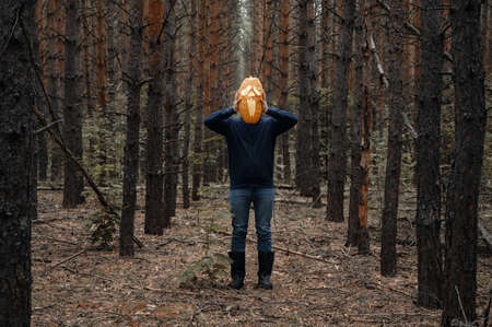 Halloween holiday. Anonymous Man holds in front of his face a glowing Halloween pumpkin in a dark forest. Faceless. Horror and fear concept.の写真素材