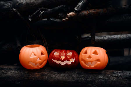 Three glowing Jack O lantern pumpkins in the autumn forest at dusk. Halloween holiday background. Copy space.の写真素材