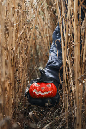 Halloween background. Human hand in black glove holding a scary Halloween pumpkin with a witch hat in a wheat field. Daytime. Vertical orientation, copyspace.の写真素材