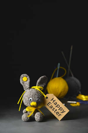DIY Easter gift making theme. Handmade knitted toy Easter rabbit with tag, and needlework...