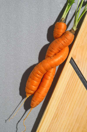 A couple of ugly imperfect carrots on gray background. Zero waste food concept. Flat layの写真素材