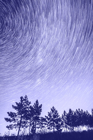 Concentric star tracks in the night sky. Pine trees on the background of the star trails. Vertical...