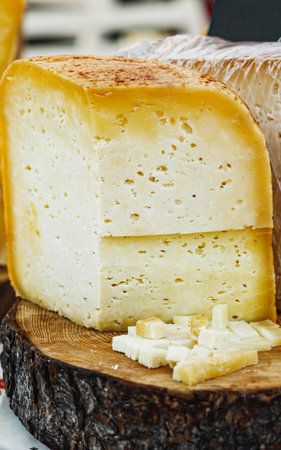 Cheese Festival: Handmade Artisan Cheeses and Gourmet Delights at an Open-Air Street Food Event.