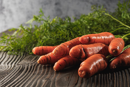 Fresh Orange Carrots from the Garden, Juicy, Organic, and Ripe for a Healthy Vegan Diet.の写真素材