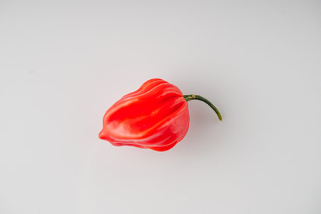 Superhot Habanero Peppers: Fresh and Spicy Chili with Ingredients.の写真素材