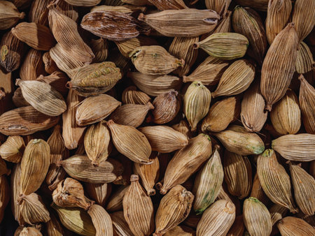 Fragrant Cardamom Pods Aromatic Spice for Asian Cuisine and Organic Seasoning.の写真素材