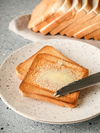 Toasted Sandwich Maker with Buttered Bread Perfect Breakfast or Snack Delight